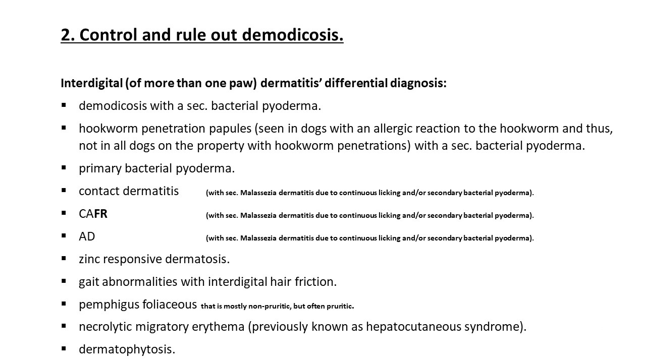 Pruritic_Dog_Webinar_Slide_22.jpg